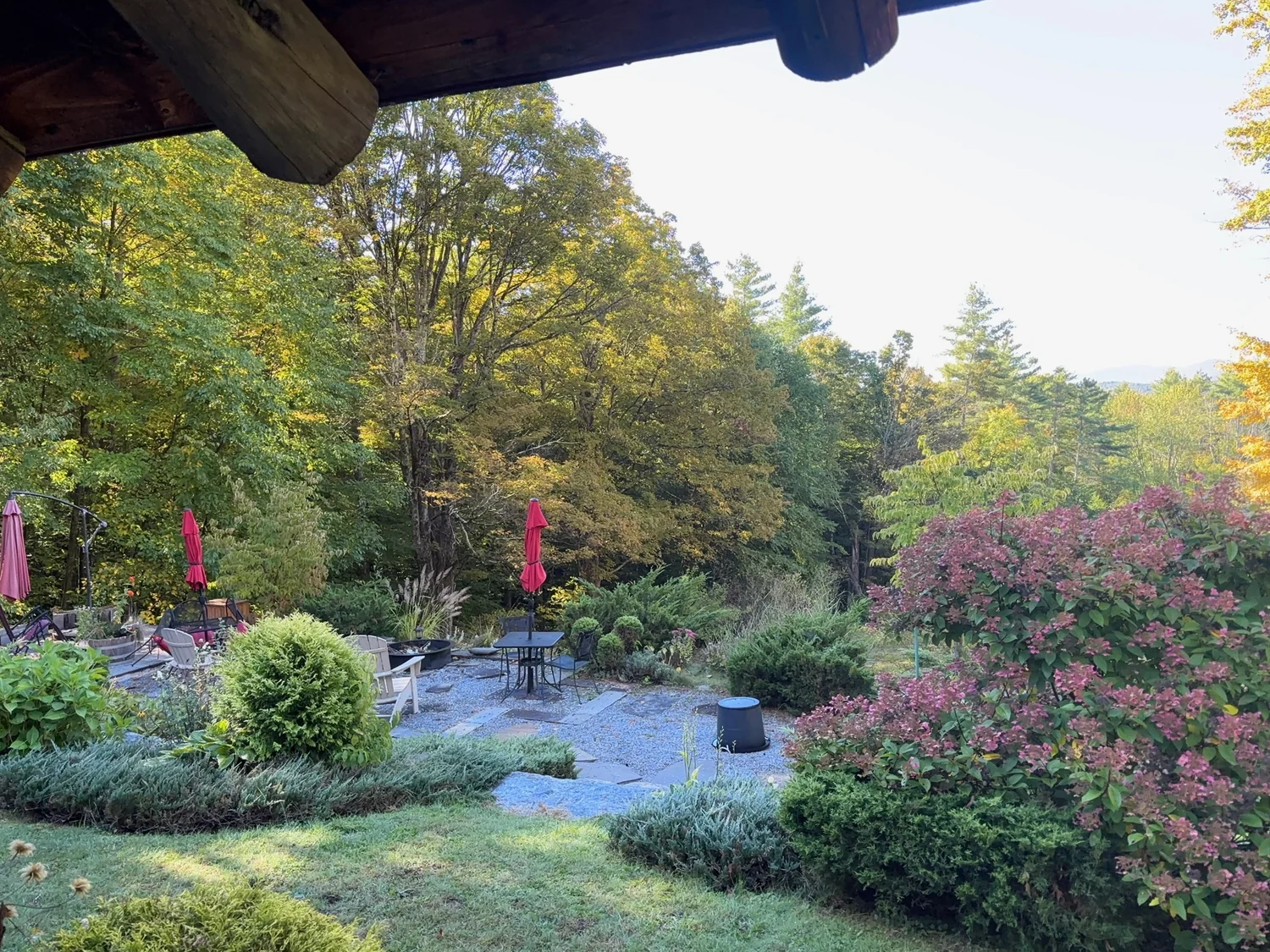 Garden with flowers, trees and a winding path, seen from the porch.