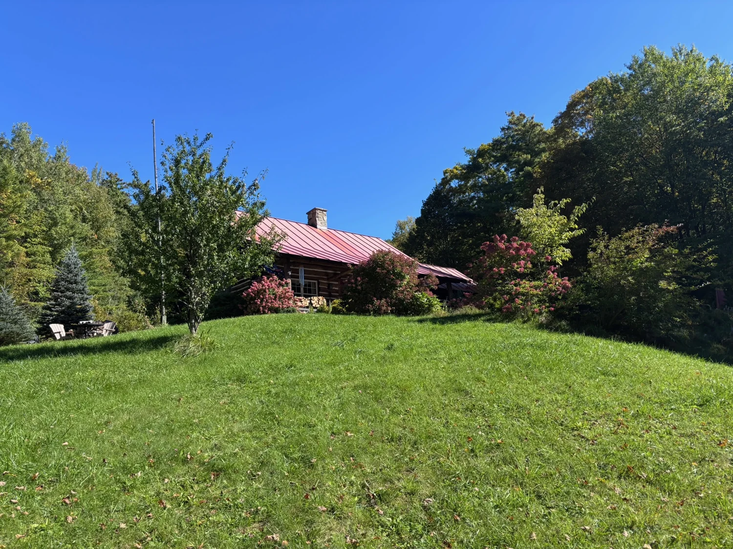 Green lawn in front of the red-roofed cabin.